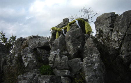 １２月１４日９