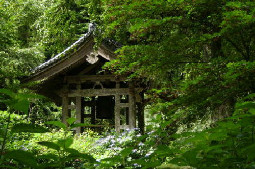 ８月１１日１１