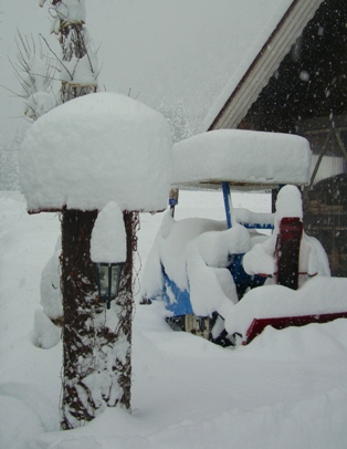 元旦の積雪.JPG