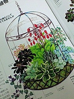 多肉植物の寄せ植えの例