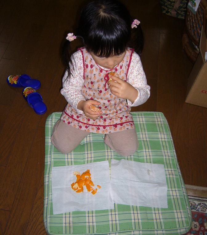 2007.12.13れんげ.JPG