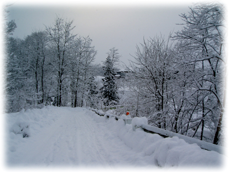 2009.1.25 001のコピー.jpg