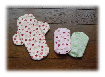 2009.1.27 006のコピー.jpg