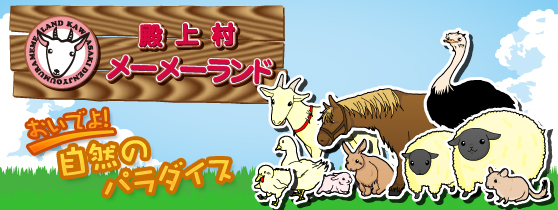 おいでよ！自然のパラダイス 殿上村メーメーランド