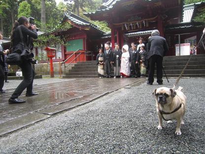 箱根神社３.jpg