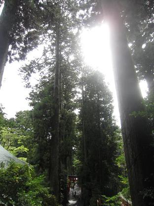 箱根神社４.jpg