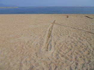 DSCN2935.JPG