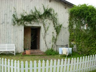 DSCN1905.JPG