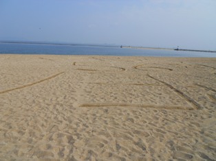 DSCN2941.JPG