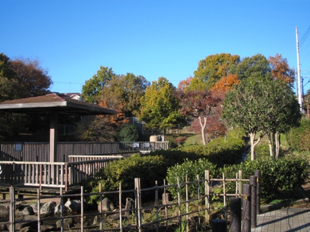 2008/12/3 公園にて