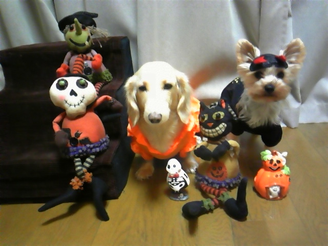 ハローウィン