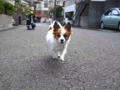 2011_0110そら　走る！.jpg