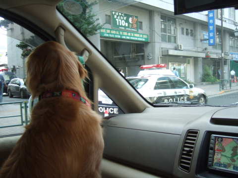 2010_0911麻布警察前1.jpg