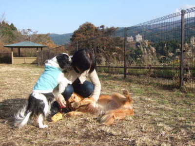2008_1207足柄08　　400.jpg