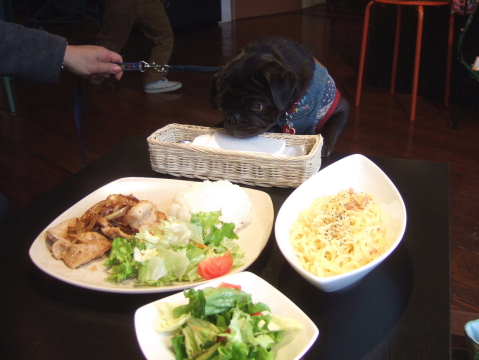 2010_1224-カフェ2.jpg
