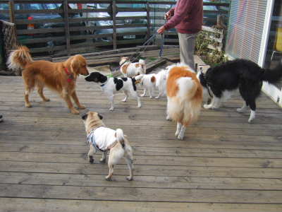 2009_0217 お友達たくさん！400.jpg