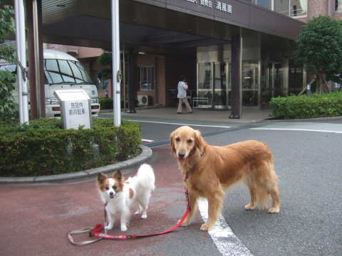 2010_0713 先月の訪問活動.jpg