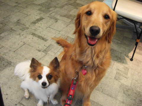 2010_0713 カフェのふたり.jpg