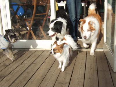 2009_0217 そら1　400.jpg