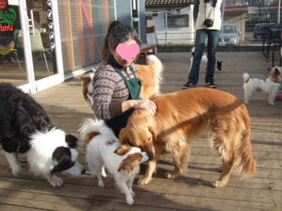 2009_0217 うれしい　そら＆ひめ2　400.jpg