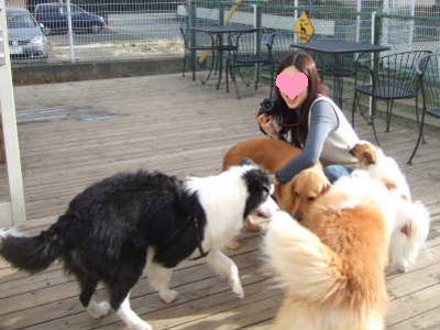 2009_0217 うれしい　そら＆ひめ1　400.jpg