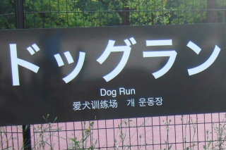 2010_0912ドッグラン看板.jpg