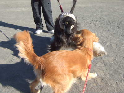 2009_0103デュークくんと.jpg