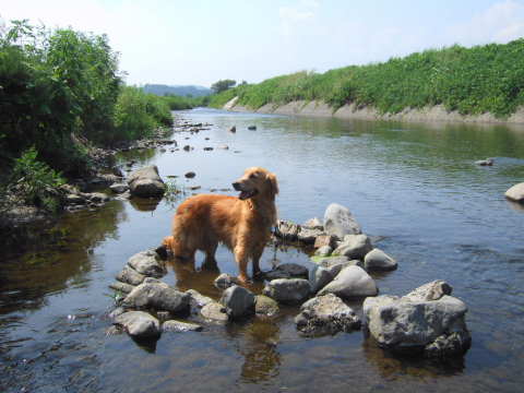 2010_0823 川遊び03.jpg
