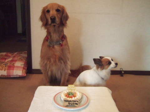 2010_0309そらひめバースデーthank you2.jpg