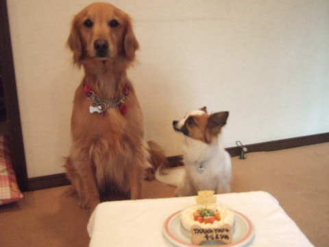 2010_0309そらひめバースデーthank you3.jpg