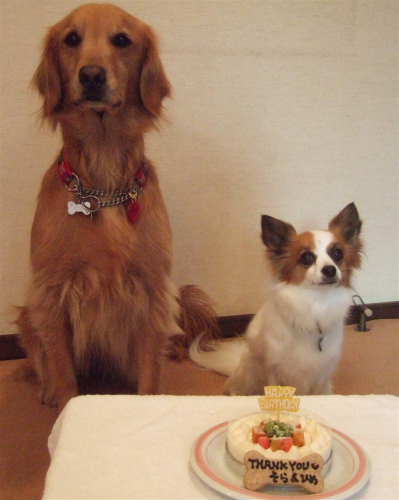 2010_0309そらひめバースデーthank you4.jpg