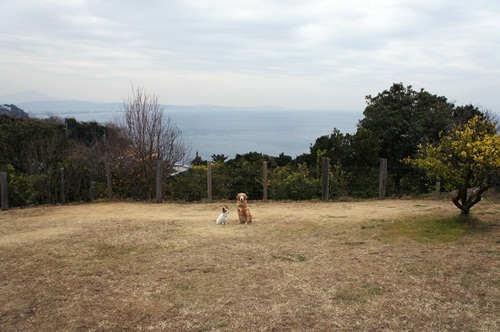 2012-0120-001.jpg