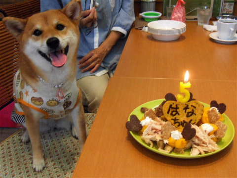 2010_0915花ちゃんHappy Birthday.jpg