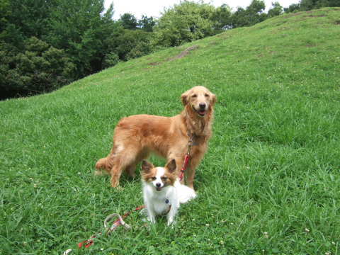 2010_0823 光陵公園のそら＆ひめ2.jpg