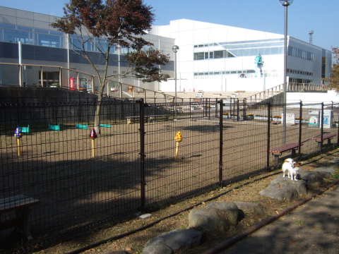 2010_1108  03足柄2.jpg