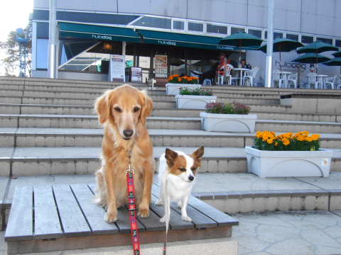 2010_1108  04足柄3.jpg