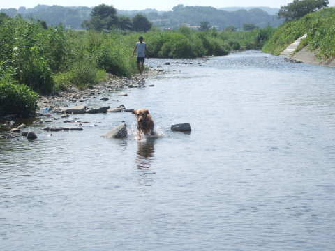 2010_0823 川遊び08.jpg