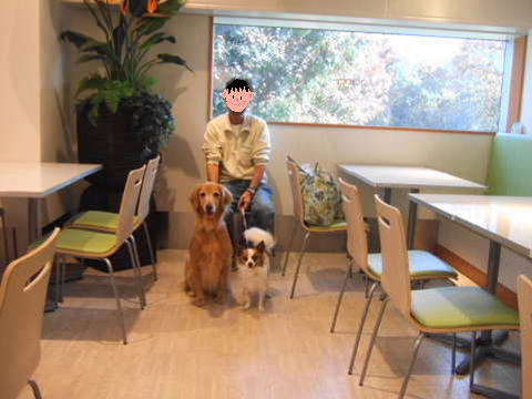 2010_1108  05足柄4.jpg