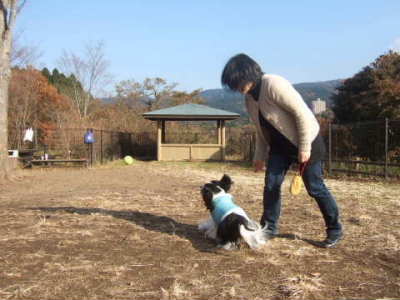 2008_1207足柄09　　400.jpg