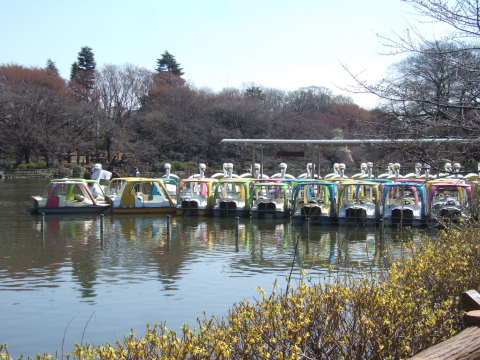 2011_0328井の頭公園02.jpg