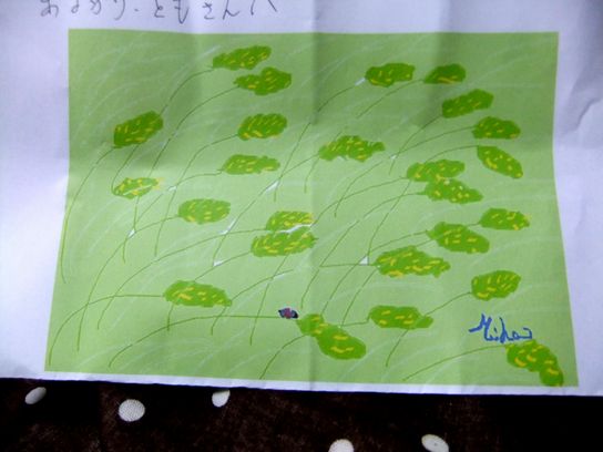 花村さんのイラスト