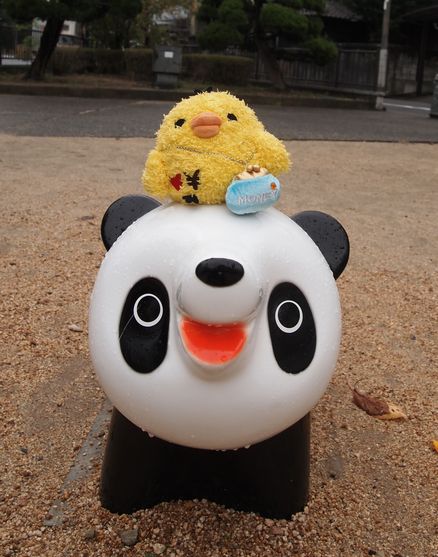 パンダの上に降りたつ