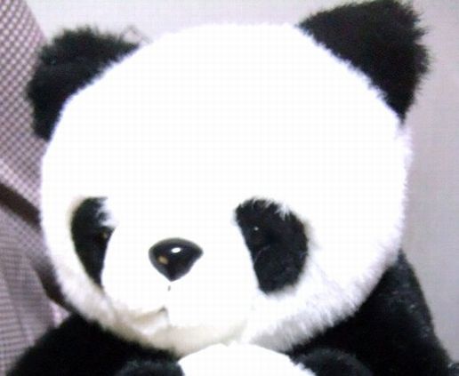 パンダさんお顔アップ.