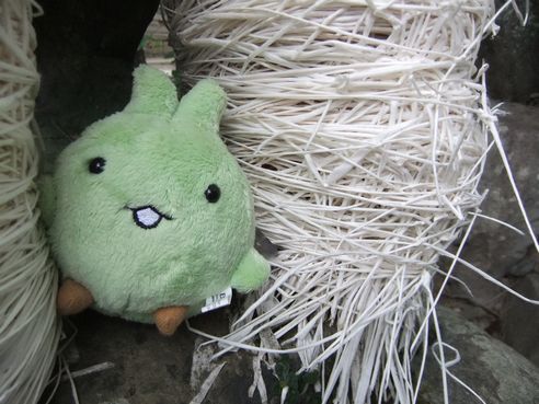 こよりの森で。