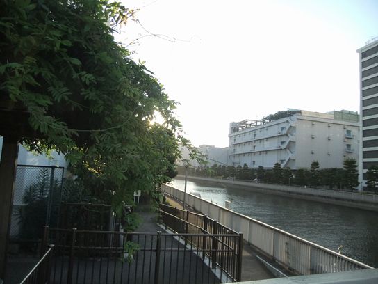 西深川橋近くの遊歩道