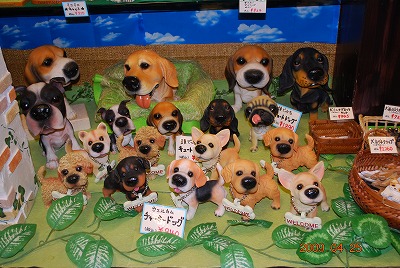 わんわんパラダイス♪