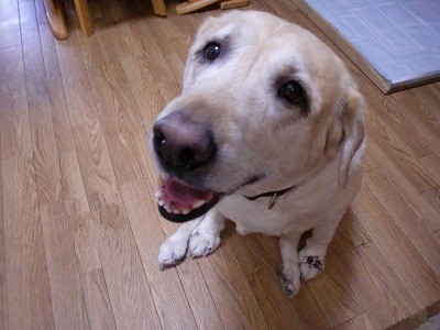 うーん、可愛い