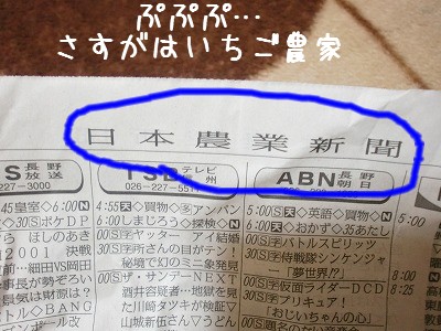 fromちょい高原新聞.jpg