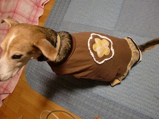 お花のワンピ～奈々