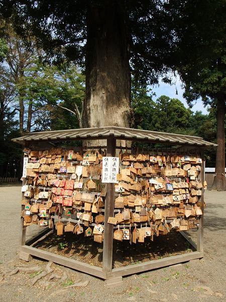 鷲宮神社 003.jpg